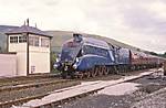Mallard 88.