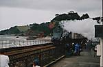 Union of South Africa at Dawlish August 2004