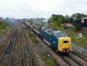 55022