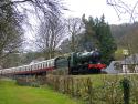 South Devon Railway Delivering The Goods Gala 29-3-13