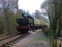 South Devon Easter Gala