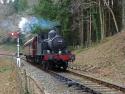 South Devon Railway Half Term 22-2-13