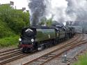 The Royal Dutchy 5-5-12