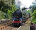 The Cornishman 19-5-12