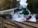 Plym Valley Railway