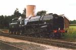 92203 Black Prince