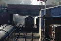 60103 At Nene Valley