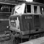 Hymek D7079 at Paddington