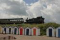 Prairie Tank 5542 @ Goodrington