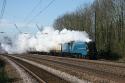 Bittern 21-04-2012