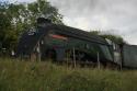 60009 @ Nene Valley