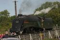 60009 @ Nene Valley