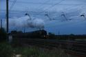 Duchess Of Sutherland