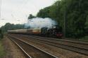 Braunton Deputising For Bittern