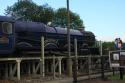 Didcot 30/8 King Edward II