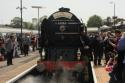Scarborough Flyer Of 4-6-16