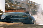 Mallard at Marylebone