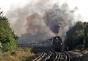 34067 Tangmere