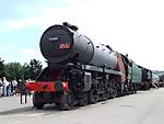 35006