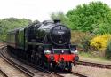 Black Five 44871
