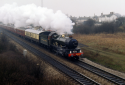 5029 Nunney Castle