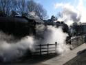 George Stephenson On The Gcr