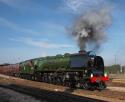 Green Duchess Leaves Derby