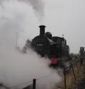 Jinty On The Move