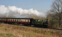Joem Leaves Highley