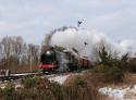 777 Storms Quorn