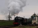 Turkish 8f At Quorn