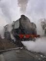 30777 Steams Out Of Quorn