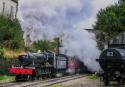 7820 Dinmore Manor