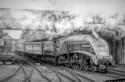 A4 60009