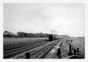 Steam Days At Winwick