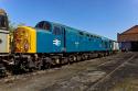 Class 40 40012 Aureol