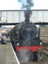 46115 Scots Guardsman At Scarborough.
