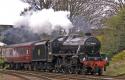 44871 Announces Her Approach