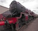 6100 Royal Scot