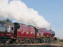 Long Time No See Lizzie - Royal Scot