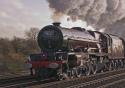 Steam & Poppies