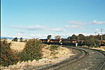 DQ's on Southbound Log Train