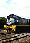 Emu Bay Railway Company 11 class