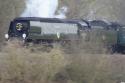 Tangmere In Derbyshire