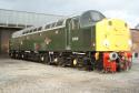 D213 Andania