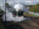 The Duke Of Gloucester