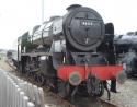 Portrait Of 46115