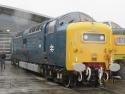 Royal Scots Grey D9000 At Shildon Locomotion