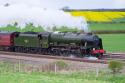 Roses Express, Class 7p, 46115, Scots Guardsman