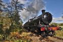 Ex Gwr Heavy Goods Loco 2857 About To Enter Worcestershire Heading South Towards Arley